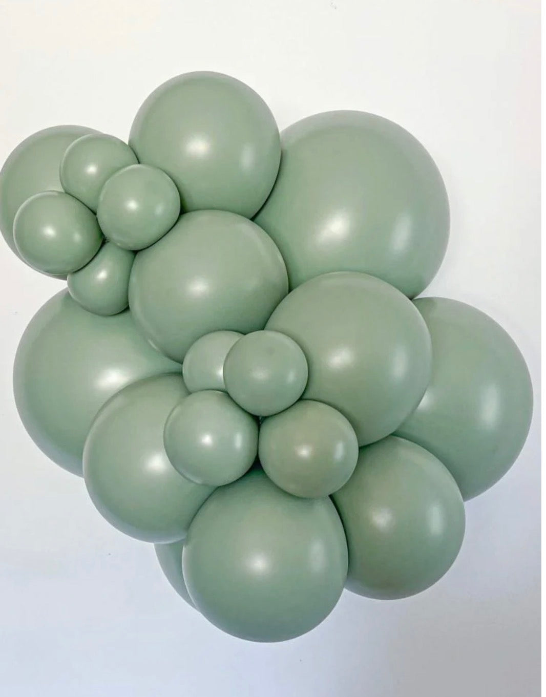 Meadow Eucalyptus TufTex Balloons