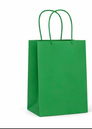 Green Bags- Party Favor bags with handle