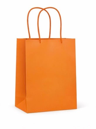 Orange Bags- Party Favor bags with handle